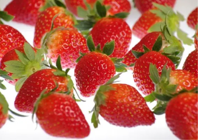 Pick-Your-Own Strawberries