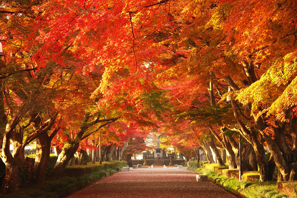 Autumn  Visit Tochigi
