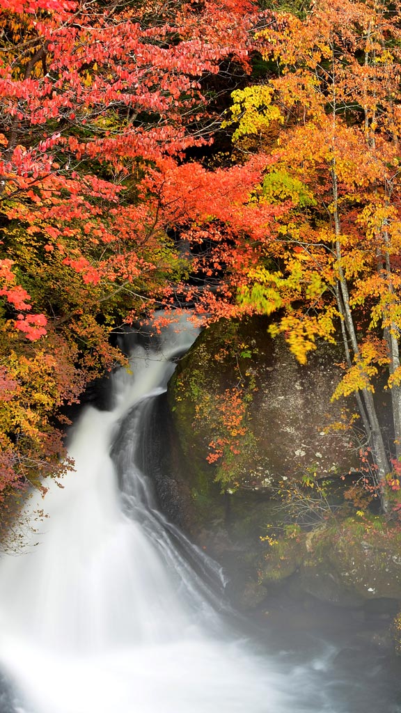 Autumn  Visit Tochigi