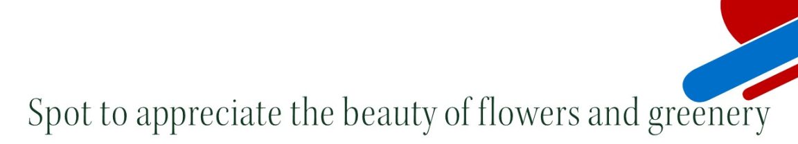 Spot to appreciate the beauty of flowers and greenery