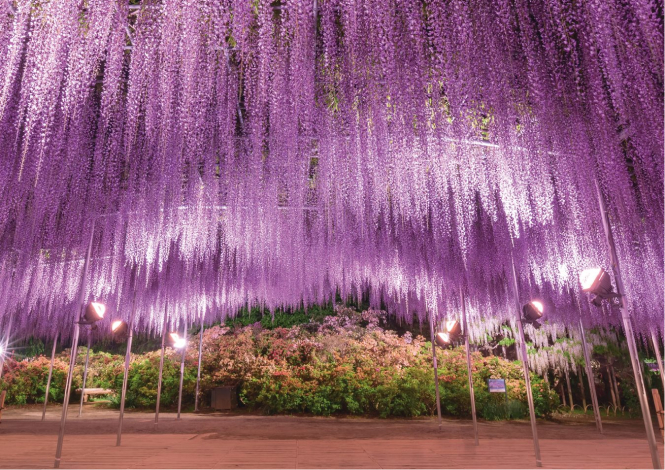 足利花園與outlet購物 兩天一夜